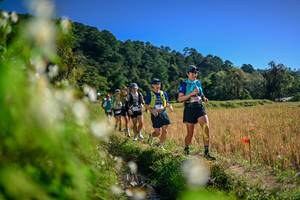 BIB: 
                            <button type="button" onclick="openModal(26575147)" class="btn btn-primary btn-sm float-right btn-popup" data-toggle="modal" data-target=".modal-high-quality">
                        <i class="fas fa-shopping-cart"></i> Add to Cart
                    </button>
                                            <button type="button" onclick="isThisMe(26575147, true)" class="btn btn-success btn-sm float-right btn-popup btn-isme hidden" data-toggle="tooltip" data-placement="bottom" title="นี่คือรูปของคุณใช่ไหม คลิกที่นี่เพื่อเอาเข้าอัลบั้ม">
                        <i class="fas fa-plus"></i> Add to album
                    </button>
                    <button type="button" onclick="isThisMe(26575147, false)" class="btn btn-warning btn-sm float-right btn-popup btn-isnotme hidden">
                        <i class="fas fa-ban"></i> Remove from album
                    </button>