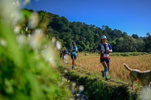 BIB: 
                            <button type="button" onclick="openModal(26572129)" class="btn btn-primary btn-sm float-right btn-popup" data-toggle="modal" data-target=".modal-high-quality">
                        <i class="fas fa-shopping-cart"></i> Add to Cart
                    </button>
                                            <button type="button" onclick="isThisMe(26572129, true)" class="btn btn-success btn-sm float-right btn-popup btn-isme hidden" data-toggle="tooltip" data-placement="bottom" title="นี่คือรูปของคุณใช่ไหม คลิกที่นี่เพื่อเอาเข้าอัลบั้ม">
                        <i class="fas fa-plus"></i> Add to album
                    </button>
                    <button type="button" onclick="isThisMe(26572129, false)" class="btn btn-warning btn-sm float-right btn-popup btn-isnotme hidden">
                        <i class="fas fa-ban"></i> Remove from album
                    </button>