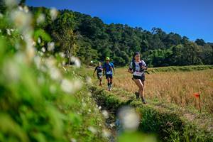 BIB: 
                            <button type="button" onclick="openModal(26574763)" class="btn btn-primary btn-sm float-right btn-popup" data-toggle="modal" data-target=".modal-high-quality">
                        <i class="fas fa-shopping-cart"></i> Add to Cart
                    </button>
                                            <button type="button" onclick="isThisMe(26574763, true)" class="btn btn-success btn-sm float-right btn-popup btn-isme hidden" data-toggle="tooltip" data-placement="bottom" title="นี่คือรูปของคุณใช่ไหม คลิกที่นี่เพื่อเอาเข้าอัลบั้ม">
                        <i class="fas fa-plus"></i> Add to album
                    </button>
                    <button type="button" onclick="isThisMe(26574763, false)" class="btn btn-warning btn-sm float-right btn-popup btn-isnotme hidden">
                        <i class="fas fa-ban"></i> Remove from album
                    </button>