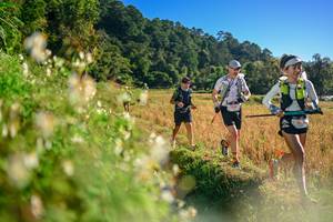 BIB: 
                            <button type="button" onclick="openModal(26571005)" class="btn btn-primary btn-sm float-right btn-popup" data-toggle="modal" data-target=".modal-high-quality">
                        <i class="fas fa-shopping-cart"></i> Add to Cart
                    </button>
                                            <button type="button" onclick="isThisMe(26571005, true)" class="btn btn-success btn-sm float-right btn-popup btn-isme hidden" data-toggle="tooltip" data-placement="bottom" title="นี่คือรูปของคุณใช่ไหม คลิกที่นี่เพื่อเอาเข้าอัลบั้ม">
                        <i class="fas fa-plus"></i> Add to album
                    </button>
                    <button type="button" onclick="isThisMe(26571005, false)" class="btn btn-warning btn-sm float-right btn-popup btn-isnotme hidden">
                        <i class="fas fa-ban"></i> Remove from album
                    </button>