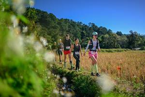 BIB: 
                            <button type="button" onclick="openModal(26574107)" class="btn btn-primary btn-sm float-right btn-popup" data-toggle="modal" data-target=".modal-high-quality">
                        <i class="fas fa-shopping-cart"></i> Add to Cart
                    </button>
                                            <button type="button" onclick="isThisMe(26574107, true)" class="btn btn-success btn-sm float-right btn-popup btn-isme hidden" data-toggle="tooltip" data-placement="bottom" title="นี่คือรูปของคุณใช่ไหม คลิกที่นี่เพื่อเอาเข้าอัลบั้ม">
                        <i class="fas fa-plus"></i> Add to album
                    </button>
                    <button type="button" onclick="isThisMe(26574107, false)" class="btn btn-warning btn-sm float-right btn-popup btn-isnotme hidden">
                        <i class="fas fa-ban"></i> Remove from album
                    </button>