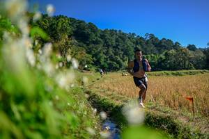 BIB: 
                            <button type="button" onclick="openModal(26573616)" class="btn btn-primary btn-sm float-right btn-popup" data-toggle="modal" data-target=".modal-high-quality">
                        <i class="fas fa-shopping-cart"></i> Add to Cart
                    </button>
                                            <button type="button" onclick="isThisMe(26573616, true)" class="btn btn-success btn-sm float-right btn-popup btn-isme hidden" data-toggle="tooltip" data-placement="bottom" title="นี่คือรูปของคุณใช่ไหม คลิกที่นี่เพื่อเอาเข้าอัลบั้ม">
                        <i class="fas fa-plus"></i> Add to album
                    </button>
                    <button type="button" onclick="isThisMe(26573616, false)" class="btn btn-warning btn-sm float-right btn-popup btn-isnotme hidden">
                        <i class="fas fa-ban"></i> Remove from album
                    </button>