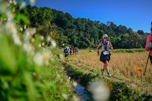 BIB: 
                            <button type="button" onclick="openModal(26572619)" class="btn btn-primary btn-sm float-right btn-popup" data-toggle="modal" data-target=".modal-high-quality">
                        <i class="fas fa-shopping-cart"></i> Add to Cart
                    </button>
                                            <button type="button" onclick="isThisMe(26572619, true)" class="btn btn-success btn-sm float-right btn-popup btn-isme hidden" data-toggle="tooltip" data-placement="bottom" title="นี่คือรูปของคุณใช่ไหม คลิกที่นี่เพื่อเอาเข้าอัลบั้ม">
                        <i class="fas fa-plus"></i> Add to album
                    </button>
                    <button type="button" onclick="isThisMe(26572619, false)" class="btn btn-warning btn-sm float-right btn-popup btn-isnotme hidden">
                        <i class="fas fa-ban"></i> Remove from album
                    </button>