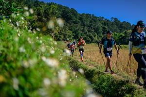 BIB: 
                            <button type="button" onclick="openModal(26583175)" class="btn btn-primary btn-sm float-right btn-popup" data-toggle="modal" data-target=".modal-high-quality">
                        <i class="fas fa-shopping-cart"></i> Add to Cart
                    </button>
                                            <button type="button" onclick="isThisMe(26583175, true)" class="btn btn-success btn-sm float-right btn-popup btn-isme hidden" data-toggle="tooltip" data-placement="bottom" title="นี่คือรูปของคุณใช่ไหม คลิกที่นี่เพื่อเอาเข้าอัลบั้ม">
                        <i class="fas fa-plus"></i> Add to album
                    </button>
                    <button type="button" onclick="isThisMe(26583175, false)" class="btn btn-warning btn-sm float-right btn-popup btn-isnotme hidden">
                        <i class="fas fa-ban"></i> Remove from album
                    </button>