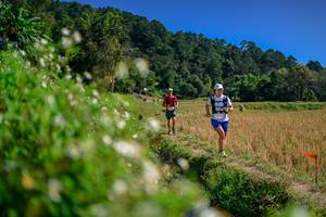 BIB: 
                            <button type="button" onclick="openModal(26582454)" class="btn btn-primary btn-sm float-right btn-popup" data-toggle="modal" data-target=".modal-high-quality">
                        <i class="fas fa-shopping-cart"></i> Add to Cart
                    </button>
                                            <button type="button" onclick="isThisMe(26582454, true)" class="btn btn-success btn-sm float-right btn-popup btn-isme hidden" data-toggle="tooltip" data-placement="bottom" title="นี่คือรูปของคุณใช่ไหม คลิกที่นี่เพื่อเอาเข้าอัลบั้ม">
                        <i class="fas fa-plus"></i> Add to album
                    </button>
                    <button type="button" onclick="isThisMe(26582454, false)" class="btn btn-warning btn-sm float-right btn-popup btn-isnotme hidden">
                        <i class="fas fa-ban"></i> Remove from album
                    </button>