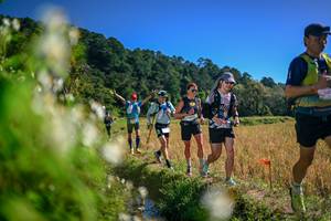 BIB: 
                            <button type="button" onclick="openModal(26575169)" class="btn btn-primary btn-sm float-right btn-popup" data-toggle="modal" data-target=".modal-high-quality">
                        <i class="fas fa-shopping-cart"></i> Add to Cart
                    </button>
                                            <button type="button" onclick="isThisMe(26575169, true)" class="btn btn-success btn-sm float-right btn-popup btn-isme hidden" data-toggle="tooltip" data-placement="bottom" title="นี่คือรูปของคุณใช่ไหม คลิกที่นี่เพื่อเอาเข้าอัลบั้ม">
                        <i class="fas fa-plus"></i> Add to album
                    </button>
                    <button type="button" onclick="isThisMe(26575169, false)" class="btn btn-warning btn-sm float-right btn-popup btn-isnotme hidden">
                        <i class="fas fa-ban"></i> Remove from album
                    </button>