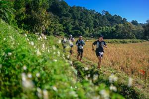 BIB: 
                            <button type="button" onclick="openModal(26571286)" class="btn btn-primary btn-sm float-right btn-popup" data-toggle="modal" data-target=".modal-high-quality">
                        <i class="fas fa-shopping-cart"></i> Add to Cart
                    </button>
                                            <button type="button" onclick="isThisMe(26571286, true)" class="btn btn-success btn-sm float-right btn-popup btn-isme hidden" data-toggle="tooltip" data-placement="bottom" title="นี่คือรูปของคุณใช่ไหม คลิกที่นี่เพื่อเอาเข้าอัลบั้ม">
                        <i class="fas fa-plus"></i> Add to album
                    </button>
                    <button type="button" onclick="isThisMe(26571286, false)" class="btn btn-warning btn-sm float-right btn-popup btn-isnotme hidden">
                        <i class="fas fa-ban"></i> Remove from album
                    </button>