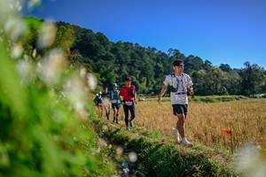 BIB: 
                            <button type="button" onclick="openModal(26572095)" class="btn btn-primary btn-sm float-right btn-popup" data-toggle="modal" data-target=".modal-high-quality">
                        <i class="fas fa-shopping-cart"></i> Add to Cart
                    </button>
                                            <button type="button" onclick="isThisMe(26572095, true)" class="btn btn-success btn-sm float-right btn-popup btn-isme hidden" data-toggle="tooltip" data-placement="bottom" title="นี่คือรูปของคุณใช่ไหม คลิกที่นี่เพื่อเอาเข้าอัลบั้ม">
                        <i class="fas fa-plus"></i> Add to album
                    </button>
                    <button type="button" onclick="isThisMe(26572095, false)" class="btn btn-warning btn-sm float-right btn-popup btn-isnotme hidden">
                        <i class="fas fa-ban"></i> Remove from album
                    </button>