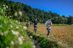 BIB: 
                            <button type="button" onclick="openModal(26582630)" class="btn btn-primary btn-sm float-right btn-popup" data-toggle="modal" data-target=".modal-high-quality">
                        <i class="fas fa-shopping-cart"></i> Add to Cart
                    </button>
                                            <button type="button" onclick="isThisMe(26582630, true)" class="btn btn-success btn-sm float-right btn-popup btn-isme hidden" data-toggle="tooltip" data-placement="bottom" title="นี่คือรูปของคุณใช่ไหม คลิกที่นี่เพื่อเอาเข้าอัลบั้ม">
                        <i class="fas fa-plus"></i> Add to album
                    </button>
                    <button type="button" onclick="isThisMe(26582630, false)" class="btn btn-warning btn-sm float-right btn-popup btn-isnotme hidden">
                        <i class="fas fa-ban"></i> Remove from album
                    </button>