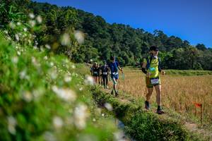 BIB: 
                            <button type="button" onclick="openModal(26583127)" class="btn btn-primary btn-sm float-right btn-popup" data-toggle="modal" data-target=".modal-high-quality">
                        <i class="fas fa-shopping-cart"></i> Add to Cart
                    </button>
                                            <button type="button" onclick="isThisMe(26583127, true)" class="btn btn-success btn-sm float-right btn-popup btn-isme hidden" data-toggle="tooltip" data-placement="bottom" title="นี่คือรูปของคุณใช่ไหม คลิกที่นี่เพื่อเอาเข้าอัลบั้ม">
                        <i class="fas fa-plus"></i> Add to album
                    </button>
                    <button type="button" onclick="isThisMe(26583127, false)" class="btn btn-warning btn-sm float-right btn-popup btn-isnotme hidden">
                        <i class="fas fa-ban"></i> Remove from album
                    </button>