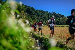 BIB: 
                            <button type="button" onclick="openModal(26574600)" class="btn btn-primary btn-sm float-right btn-popup" data-toggle="modal" data-target=".modal-high-quality">
                        <i class="fas fa-shopping-cart"></i> Add to Cart
                    </button>
                                            <button type="button" onclick="isThisMe(26574600, true)" class="btn btn-success btn-sm float-right btn-popup btn-isme hidden" data-toggle="tooltip" data-placement="bottom" title="นี่คือรูปของคุณใช่ไหม คลิกที่นี่เพื่อเอาเข้าอัลบั้ม">
                        <i class="fas fa-plus"></i> Add to album
                    </button>
                    <button type="button" onclick="isThisMe(26574600, false)" class="btn btn-warning btn-sm float-right btn-popup btn-isnotme hidden">
                        <i class="fas fa-ban"></i> Remove from album
                    </button>