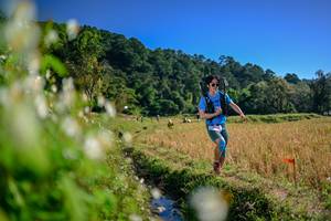 BIB: 
                            <button type="button" onclick="openModal(26572921)" class="btn btn-primary btn-sm float-right btn-popup" data-toggle="modal" data-target=".modal-high-quality">
                        <i class="fas fa-shopping-cart"></i> Add to Cart
                    </button>
                                            <button type="button" onclick="isThisMe(26572921, true)" class="btn btn-success btn-sm float-right btn-popup btn-isme hidden" data-toggle="tooltip" data-placement="bottom" title="นี่คือรูปของคุณใช่ไหม คลิกที่นี่เพื่อเอาเข้าอัลบั้ม">
                        <i class="fas fa-plus"></i> Add to album
                    </button>
                    <button type="button" onclick="isThisMe(26572921, false)" class="btn btn-warning btn-sm float-right btn-popup btn-isnotme hidden">
                        <i class="fas fa-ban"></i> Remove from album
                    </button>