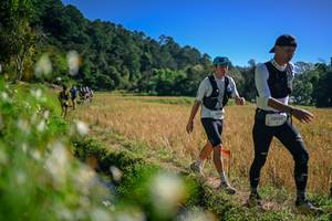 BIB: 
                            <button type="button" onclick="openModal(26576268)" class="btn btn-primary btn-sm float-right btn-popup" data-toggle="modal" data-target=".modal-high-quality">
                        <i class="fas fa-shopping-cart"></i> Add to Cart
                    </button>
                                            <button type="button" onclick="isThisMe(26576268, true)" class="btn btn-success btn-sm float-right btn-popup btn-isme hidden" data-toggle="tooltip" data-placement="bottom" title="นี่คือรูปของคุณใช่ไหม คลิกที่นี่เพื่อเอาเข้าอัลบั้ม">
                        <i class="fas fa-plus"></i> Add to album
                    </button>
                    <button type="button" onclick="isThisMe(26576268, false)" class="btn btn-warning btn-sm float-right btn-popup btn-isnotme hidden">
                        <i class="fas fa-ban"></i> Remove from album
                    </button>