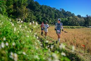 BIB: 
                            <button type="button" onclick="openModal(26571368)" class="btn btn-primary btn-sm float-right btn-popup" data-toggle="modal" data-target=".modal-high-quality">
                        <i class="fas fa-shopping-cart"></i> Add to Cart
                    </button>
                                            <button type="button" onclick="isThisMe(26571368, true)" class="btn btn-success btn-sm float-right btn-popup btn-isme hidden" data-toggle="tooltip" data-placement="bottom" title="นี่คือรูปของคุณใช่ไหม คลิกที่นี่เพื่อเอาเข้าอัลบั้ม">
                        <i class="fas fa-plus"></i> Add to album
                    </button>
                    <button type="button" onclick="isThisMe(26571368, false)" class="btn btn-warning btn-sm float-right btn-popup btn-isnotme hidden">
                        <i class="fas fa-ban"></i> Remove from album
                    </button>