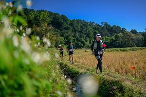 BIB: 
                            <button type="button" onclick="openModal(26573794)" class="btn btn-primary btn-sm float-right btn-popup" data-toggle="modal" data-target=".modal-high-quality">
                        <i class="fas fa-shopping-cart"></i> Add to Cart
                    </button>
                                            <button type="button" onclick="isThisMe(26573794, true)" class="btn btn-success btn-sm float-right btn-popup btn-isme hidden" data-toggle="tooltip" data-placement="bottom" title="นี่คือรูปของคุณใช่ไหม คลิกที่นี่เพื่อเอาเข้าอัลบั้ม">
                        <i class="fas fa-plus"></i> Add to album
                    </button>
                    <button type="button" onclick="isThisMe(26573794, false)" class="btn btn-warning btn-sm float-right btn-popup btn-isnotme hidden">
                        <i class="fas fa-ban"></i> Remove from album
                    </button>