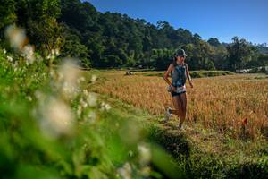 BIB: 
                            <button type="button" onclick="openModal(26570407)" class="btn btn-primary btn-sm float-right btn-popup" data-toggle="modal" data-target=".modal-high-quality">
                        <i class="fas fa-shopping-cart"></i> Add to Cart
                    </button>
                                            <button type="button" onclick="isThisMe(26570407, true)" class="btn btn-success btn-sm float-right btn-popup btn-isme hidden" data-toggle="tooltip" data-placement="bottom" title="นี่คือรูปของคุณใช่ไหม คลิกที่นี่เพื่อเอาเข้าอัลบั้ม">
                        <i class="fas fa-plus"></i> Add to album
                    </button>
                    <button type="button" onclick="isThisMe(26570407, false)" class="btn btn-warning btn-sm float-right btn-popup btn-isnotme hidden">
                        <i class="fas fa-ban"></i> Remove from album
                    </button>