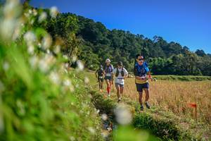 BIB: 
                            <button type="button" onclick="openModal(26571753)" class="btn btn-primary btn-sm float-right btn-popup" data-toggle="modal" data-target=".modal-high-quality">
                        <i class="fas fa-shopping-cart"></i> Add to Cart
                    </button>
                                            <button type="button" onclick="isThisMe(26571753, true)" class="btn btn-success btn-sm float-right btn-popup btn-isme hidden" data-toggle="tooltip" data-placement="bottom" title="นี่คือรูปของคุณใช่ไหม คลิกที่นี่เพื่อเอาเข้าอัลบั้ม">
                        <i class="fas fa-plus"></i> Add to album
                    </button>
                    <button type="button" onclick="isThisMe(26571753, false)" class="btn btn-warning btn-sm float-right btn-popup btn-isnotme hidden">
                        <i class="fas fa-ban"></i> Remove from album
                    </button>