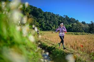 BIB: 
                            <button type="button" onclick="openModal(26571799)" class="btn btn-primary btn-sm float-right btn-popup" data-toggle="modal" data-target=".modal-high-quality">
                        <i class="fas fa-shopping-cart"></i> Add to Cart
                    </button>
                                            <button type="button" onclick="isThisMe(26571799, true)" class="btn btn-success btn-sm float-right btn-popup btn-isme hidden" data-toggle="tooltip" data-placement="bottom" title="นี่คือรูปของคุณใช่ไหม คลิกที่นี่เพื่อเอาเข้าอัลบั้ม">
                        <i class="fas fa-plus"></i> Add to album
                    </button>
                    <button type="button" onclick="isThisMe(26571799, false)" class="btn btn-warning btn-sm float-right btn-popup btn-isnotme hidden">
                        <i class="fas fa-ban"></i> Remove from album
                    </button>