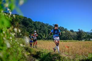 BIB: 
                            <button type="button" onclick="openModal(26580038)" class="btn btn-primary btn-sm float-right btn-popup" data-toggle="modal" data-target=".modal-high-quality">
                        <i class="fas fa-shopping-cart"></i> Add to Cart
                    </button>
                                            <button type="button" onclick="isThisMe(26580038, true)" class="btn btn-success btn-sm float-right btn-popup btn-isme hidden" data-toggle="tooltip" data-placement="bottom" title="นี่คือรูปของคุณใช่ไหม คลิกที่นี่เพื่อเอาเข้าอัลบั้ม">
                        <i class="fas fa-plus"></i> Add to album
                    </button>
                    <button type="button" onclick="isThisMe(26580038, false)" class="btn btn-warning btn-sm float-right btn-popup btn-isnotme hidden">
                        <i class="fas fa-ban"></i> Remove from album
                    </button>