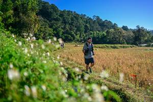 BIB: 
                            <button type="button" onclick="openModal(26571328)" class="btn btn-primary btn-sm float-right btn-popup" data-toggle="modal" data-target=".modal-high-quality">
                        <i class="fas fa-shopping-cart"></i> Add to Cart
                    </button>
                                            <button type="button" onclick="isThisMe(26571328, true)" class="btn btn-success btn-sm float-right btn-popup btn-isme hidden" data-toggle="tooltip" data-placement="bottom" title="นี่คือรูปของคุณใช่ไหม คลิกที่นี่เพื่อเอาเข้าอัลบั้ม">
                        <i class="fas fa-plus"></i> Add to album
                    </button>
                    <button type="button" onclick="isThisMe(26571328, false)" class="btn btn-warning btn-sm float-right btn-popup btn-isnotme hidden">
                        <i class="fas fa-ban"></i> Remove from album
                    </button>