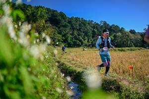 BIB: 
                            <button type="button" onclick="openModal(26573378)" class="btn btn-primary btn-sm float-right btn-popup" data-toggle="modal" data-target=".modal-high-quality">
                        <i class="fas fa-shopping-cart"></i> Add to Cart
                    </button>
                                            <button type="button" onclick="isThisMe(26573378, true)" class="btn btn-success btn-sm float-right btn-popup btn-isme hidden" data-toggle="tooltip" data-placement="bottom" title="นี่คือรูปของคุณใช่ไหม คลิกที่นี่เพื่อเอาเข้าอัลบั้ม">
                        <i class="fas fa-plus"></i> Add to album
                    </button>
                    <button type="button" onclick="isThisMe(26573378, false)" class="btn btn-warning btn-sm float-right btn-popup btn-isnotme hidden">
                        <i class="fas fa-ban"></i> Remove from album
                    </button>