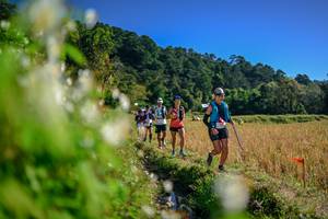 BIB: 
                            <button type="button" onclick="openModal(26572950)" class="btn btn-primary btn-sm float-right btn-popup" data-toggle="modal" data-target=".modal-high-quality">
                        <i class="fas fa-shopping-cart"></i> Add to Cart
                    </button>
                                            <button type="button" onclick="isThisMe(26572950, true)" class="btn btn-success btn-sm float-right btn-popup btn-isme hidden" data-toggle="tooltip" data-placement="bottom" title="นี่คือรูปของคุณใช่ไหม คลิกที่นี่เพื่อเอาเข้าอัลบั้ม">
                        <i class="fas fa-plus"></i> Add to album
                    </button>
                    <button type="button" onclick="isThisMe(26572950, false)" class="btn btn-warning btn-sm float-right btn-popup btn-isnotme hidden">
                        <i class="fas fa-ban"></i> Remove from album
                    </button>