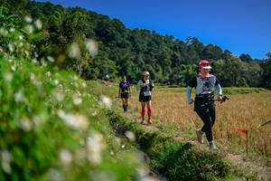 BIB: 
                            <button type="button" onclick="openModal(26583040)" class="btn btn-primary btn-sm float-right btn-popup" data-toggle="modal" data-target=".modal-high-quality">
                        <i class="fas fa-shopping-cart"></i> Add to Cart
                    </button>
                                            <button type="button" onclick="isThisMe(26583040, true)" class="btn btn-success btn-sm float-right btn-popup btn-isme hidden" data-toggle="tooltip" data-placement="bottom" title="นี่คือรูปของคุณใช่ไหม คลิกที่นี่เพื่อเอาเข้าอัลบั้ม">
                        <i class="fas fa-plus"></i> Add to album
                    </button>
                    <button type="button" onclick="isThisMe(26583040, false)" class="btn btn-warning btn-sm float-right btn-popup btn-isnotme hidden">
                        <i class="fas fa-ban"></i> Remove from album
                    </button>