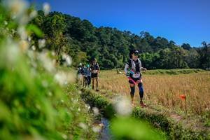 BIB: 
                            <button type="button" onclick="openModal(26574811)" class="btn btn-primary btn-sm float-right btn-popup" data-toggle="modal" data-target=".modal-high-quality">
                        <i class="fas fa-shopping-cart"></i> Add to Cart
                    </button>
                                            <button type="button" onclick="isThisMe(26574811, true)" class="btn btn-success btn-sm float-right btn-popup btn-isme hidden" data-toggle="tooltip" data-placement="bottom" title="นี่คือรูปของคุณใช่ไหม คลิกที่นี่เพื่อเอาเข้าอัลบั้ม">
                        <i class="fas fa-plus"></i> Add to album
                    </button>
                    <button type="button" onclick="isThisMe(26574811, false)" class="btn btn-warning btn-sm float-right btn-popup btn-isnotme hidden">
                        <i class="fas fa-ban"></i> Remove from album
                    </button>