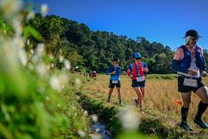 BIB: 
                            <button type="button" onclick="openModal(26572998)" class="btn btn-primary btn-sm float-right btn-popup" data-toggle="modal" data-target=".modal-high-quality">
                        <i class="fas fa-shopping-cart"></i> Add to Cart
                    </button>
                                            <button type="button" onclick="isThisMe(26572998, true)" class="btn btn-success btn-sm float-right btn-popup btn-isme hidden" data-toggle="tooltip" data-placement="bottom" title="นี่คือรูปของคุณใช่ไหม คลิกที่นี่เพื่อเอาเข้าอัลบั้ม">
                        <i class="fas fa-plus"></i> Add to album
                    </button>
                    <button type="button" onclick="isThisMe(26572998, false)" class="btn btn-warning btn-sm float-right btn-popup btn-isnotme hidden">
                        <i class="fas fa-ban"></i> Remove from album
                    </button>