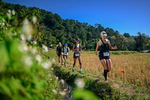 BIB: 
                            <button type="button" onclick="openModal(26575542)" class="btn btn-primary btn-sm float-right btn-popup" data-toggle="modal" data-target=".modal-high-quality">
                        <i class="fas fa-shopping-cart"></i> Add to Cart
                    </button>
                                            <button type="button" onclick="isThisMe(26575542, true)" class="btn btn-success btn-sm float-right btn-popup btn-isme hidden" data-toggle="tooltip" data-placement="bottom" title="นี่คือรูปของคุณใช่ไหม คลิกที่นี่เพื่อเอาเข้าอัลบั้ม">
                        <i class="fas fa-plus"></i> Add to album
                    </button>
                    <button type="button" onclick="isThisMe(26575542, false)" class="btn btn-warning btn-sm float-right btn-popup btn-isnotme hidden">
                        <i class="fas fa-ban"></i> Remove from album
                    </button>