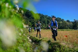 BIB: 
                            <button type="button" onclick="openModal(26580708)" class="btn btn-primary btn-sm float-right btn-popup" data-toggle="modal" data-target=".modal-high-quality">
                        <i class="fas fa-shopping-cart"></i> Add to Cart
                    </button>
                                            <button type="button" onclick="isThisMe(26580708, true)" class="btn btn-success btn-sm float-right btn-popup btn-isme hidden" data-toggle="tooltip" data-placement="bottom" title="นี่คือรูปของคุณใช่ไหม คลิกที่นี่เพื่อเอาเข้าอัลบั้ม">
                        <i class="fas fa-plus"></i> Add to album
                    </button>
                    <button type="button" onclick="isThisMe(26580708, false)" class="btn btn-warning btn-sm float-right btn-popup btn-isnotme hidden">
                        <i class="fas fa-ban"></i> Remove from album
                    </button>