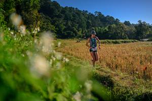 BIB: 
                            <button type="button" onclick="openModal(26570402)" class="btn btn-primary btn-sm float-right btn-popup" data-toggle="modal" data-target=".modal-high-quality">
                        <i class="fas fa-shopping-cart"></i> Add to Cart
                    </button>
                                            <button type="button" onclick="isThisMe(26570402, true)" class="btn btn-success btn-sm float-right btn-popup btn-isme hidden" data-toggle="tooltip" data-placement="bottom" title="นี่คือรูปของคุณใช่ไหม คลิกที่นี่เพื่อเอาเข้าอัลบั้ม">
                        <i class="fas fa-plus"></i> Add to album
                    </button>
                    <button type="button" onclick="isThisMe(26570402, false)" class="btn btn-warning btn-sm float-right btn-popup btn-isnotme hidden">
                        <i class="fas fa-ban"></i> Remove from album
                    </button>