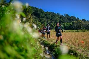 BIB: 
                            <button type="button" onclick="openModal(26574579)" class="btn btn-primary btn-sm float-right btn-popup" data-toggle="modal" data-target=".modal-high-quality">
                        <i class="fas fa-shopping-cart"></i> Add to Cart
                    </button>
                                            <button type="button" onclick="isThisMe(26574579, true)" class="btn btn-success btn-sm float-right btn-popup btn-isme hidden" data-toggle="tooltip" data-placement="bottom" title="นี่คือรูปของคุณใช่ไหม คลิกที่นี่เพื่อเอาเข้าอัลบั้ม">
                        <i class="fas fa-plus"></i> Add to album
                    </button>
                    <button type="button" onclick="isThisMe(26574579, false)" class="btn btn-warning btn-sm float-right btn-popup btn-isnotme hidden">
                        <i class="fas fa-ban"></i> Remove from album
                    </button>