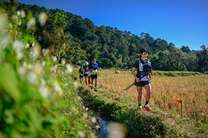 BIB: 
                            <button type="button" onclick="openModal(26571752)" class="btn btn-primary btn-sm float-right btn-popup" data-toggle="modal" data-target=".modal-high-quality">
                        <i class="fas fa-shopping-cart"></i> Add to Cart
                    </button>
                                            <button type="button" onclick="isThisMe(26571752, true)" class="btn btn-success btn-sm float-right btn-popup btn-isme hidden" data-toggle="tooltip" data-placement="bottom" title="นี่คือรูปของคุณใช่ไหม คลิกที่นี่เพื่อเอาเข้าอัลบั้ม">
                        <i class="fas fa-plus"></i> Add to album
                    </button>
                    <button type="button" onclick="isThisMe(26571752, false)" class="btn btn-warning btn-sm float-right btn-popup btn-isnotme hidden">
                        <i class="fas fa-ban"></i> Remove from album
                    </button>