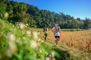 BIB: 
                            <button type="button" onclick="openModal(26570589)" class="btn btn-primary btn-sm float-right btn-popup" data-toggle="modal" data-target=".modal-high-quality">
                        <i class="fas fa-shopping-cart"></i> Add to Cart
                    </button>
                                            <button type="button" onclick="isThisMe(26570589, true)" class="btn btn-success btn-sm float-right btn-popup btn-isme hidden" data-toggle="tooltip" data-placement="bottom" title="นี่คือรูปของคุณใช่ไหม คลิกที่นี่เพื่อเอาเข้าอัลบั้ม">
                        <i class="fas fa-plus"></i> Add to album
                    </button>
                    <button type="button" onclick="isThisMe(26570589, false)" class="btn btn-warning btn-sm float-right btn-popup btn-isnotme hidden">
                        <i class="fas fa-ban"></i> Remove from album
                    </button>