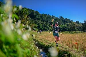 BIB: 
                            <button type="button" onclick="openModal(26572573)" class="btn btn-primary btn-sm float-right btn-popup" data-toggle="modal" data-target=".modal-high-quality">
                        <i class="fas fa-shopping-cart"></i> Add to Cart
                    </button>
                                            <button type="button" onclick="isThisMe(26572573, true)" class="btn btn-success btn-sm float-right btn-popup btn-isme hidden" data-toggle="tooltip" data-placement="bottom" title="นี่คือรูปของคุณใช่ไหม คลิกที่นี่เพื่อเอาเข้าอัลบั้ม">
                        <i class="fas fa-plus"></i> Add to album
                    </button>
                    <button type="button" onclick="isThisMe(26572573, false)" class="btn btn-warning btn-sm float-right btn-popup btn-isnotme hidden">
                        <i class="fas fa-ban"></i> Remove from album
                    </button>