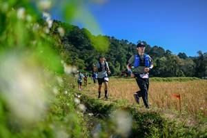 BIB: 
                            <button type="button" onclick="openModal(26580710)" class="btn btn-primary btn-sm float-right btn-popup" data-toggle="modal" data-target=".modal-high-quality">
                        <i class="fas fa-shopping-cart"></i> Add to Cart
                    </button>
                                            <button type="button" onclick="isThisMe(26580710, true)" class="btn btn-success btn-sm float-right btn-popup btn-isme hidden" data-toggle="tooltip" data-placement="bottom" title="นี่คือรูปของคุณใช่ไหม คลิกที่นี่เพื่อเอาเข้าอัลบั้ม">
                        <i class="fas fa-plus"></i> Add to album
                    </button>
                    <button type="button" onclick="isThisMe(26580710, false)" class="btn btn-warning btn-sm float-right btn-popup btn-isnotme hidden">
                        <i class="fas fa-ban"></i> Remove from album
                    </button>