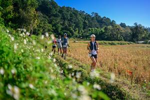 BIB: 
                            <button type="button" onclick="openModal(26571361)" class="btn btn-primary btn-sm float-right btn-popup" data-toggle="modal" data-target=".modal-high-quality">
                        <i class="fas fa-shopping-cart"></i> Add to Cart
                    </button>
                                            <button type="button" onclick="isThisMe(26571361, true)" class="btn btn-success btn-sm float-right btn-popup btn-isme hidden" data-toggle="tooltip" data-placement="bottom" title="นี่คือรูปของคุณใช่ไหม คลิกที่นี่เพื่อเอาเข้าอัลบั้ม">
                        <i class="fas fa-plus"></i> Add to album
                    </button>
                    <button type="button" onclick="isThisMe(26571361, false)" class="btn btn-warning btn-sm float-right btn-popup btn-isnotme hidden">
                        <i class="fas fa-ban"></i> Remove from album
                    </button>