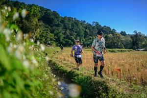 BIB: 
                            <button type="button" onclick="openModal(26571586)" class="btn btn-primary btn-sm float-right btn-popup" data-toggle="modal" data-target=".modal-high-quality">
                        <i class="fas fa-shopping-cart"></i> Add to Cart
                    </button>
                                            <button type="button" onclick="isThisMe(26571586, true)" class="btn btn-success btn-sm float-right btn-popup btn-isme hidden" data-toggle="tooltip" data-placement="bottom" title="นี่คือรูปของคุณใช่ไหม คลิกที่นี่เพื่อเอาเข้าอัลบั้ม">
                        <i class="fas fa-plus"></i> Add to album
                    </button>
                    <button type="button" onclick="isThisMe(26571586, false)" class="btn btn-warning btn-sm float-right btn-popup btn-isnotme hidden">
                        <i class="fas fa-ban"></i> Remove from album
                    </button>