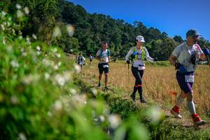 BIB: 
                            <button type="button" onclick="openModal(26581610)" class="btn btn-primary btn-sm float-right btn-popup" data-toggle="modal" data-target=".modal-high-quality">
                        <i class="fas fa-shopping-cart"></i> Add to Cart
                    </button>
                                            <button type="button" onclick="isThisMe(26581610, true)" class="btn btn-success btn-sm float-right btn-popup btn-isme hidden" data-toggle="tooltip" data-placement="bottom" title="นี่คือรูปของคุณใช่ไหม คลิกที่นี่เพื่อเอาเข้าอัลบั้ม">
                        <i class="fas fa-plus"></i> Add to album
                    </button>
                    <button type="button" onclick="isThisMe(26581610, false)" class="btn btn-warning btn-sm float-right btn-popup btn-isnotme hidden">
                        <i class="fas fa-ban"></i> Remove from album
                    </button>