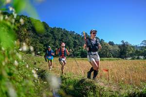 BIB: 
                            <button type="button" onclick="openModal(26579669)" class="btn btn-primary btn-sm float-right btn-popup" data-toggle="modal" data-target=".modal-high-quality">
                        <i class="fas fa-shopping-cart"></i> Add to Cart
                    </button>
                                            <button type="button" onclick="isThisMe(26579669, true)" class="btn btn-success btn-sm float-right btn-popup btn-isme hidden" data-toggle="tooltip" data-placement="bottom" title="นี่คือรูปของคุณใช่ไหม คลิกที่นี่เพื่อเอาเข้าอัลบั้ม">
                        <i class="fas fa-plus"></i> Add to album
                    </button>
                    <button type="button" onclick="isThisMe(26579669, false)" class="btn btn-warning btn-sm float-right btn-popup btn-isnotme hidden">
                        <i class="fas fa-ban"></i> Remove from album
                    </button>