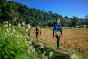 BIB: 
                            <button type="button" onclick="openModal(26575751)" class="btn btn-primary btn-sm float-right btn-popup" data-toggle="modal" data-target=".modal-high-quality">
                        <i class="fas fa-shopping-cart"></i> Add to Cart
                    </button>
                                            <button type="button" onclick="isThisMe(26575751, true)" class="btn btn-success btn-sm float-right btn-popup btn-isme hidden" data-toggle="tooltip" data-placement="bottom" title="นี่คือรูปของคุณใช่ไหม คลิกที่นี่เพื่อเอาเข้าอัลบั้ม">
                        <i class="fas fa-plus"></i> Add to album
                    </button>
                    <button type="button" onclick="isThisMe(26575751, false)" class="btn btn-warning btn-sm float-right btn-popup btn-isnotme hidden">
                        <i class="fas fa-ban"></i> Remove from album
                    </button>