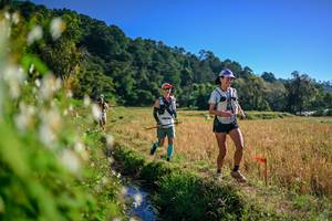 BIB: 
                            <button type="button" onclick="openModal(26571684)" class="btn btn-primary btn-sm float-right btn-popup" data-toggle="modal" data-target=".modal-high-quality">
                        <i class="fas fa-shopping-cart"></i> Add to Cart
                    </button>
                                            <button type="button" onclick="isThisMe(26571684, true)" class="btn btn-success btn-sm float-right btn-popup btn-isme hidden" data-toggle="tooltip" data-placement="bottom" title="นี่คือรูปของคุณใช่ไหม คลิกที่นี่เพื่อเอาเข้าอัลบั้ม">
                        <i class="fas fa-plus"></i> Add to album
                    </button>
                    <button type="button" onclick="isThisMe(26571684, false)" class="btn btn-warning btn-sm float-right btn-popup btn-isnotme hidden">
                        <i class="fas fa-ban"></i> Remove from album
                    </button>