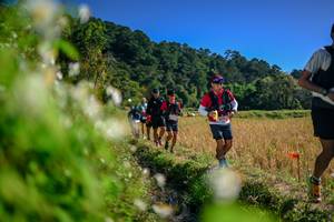 BIB: 
                            <button type="button" onclick="openModal(26574608)" class="btn btn-primary btn-sm float-right btn-popup" data-toggle="modal" data-target=".modal-high-quality">
                        <i class="fas fa-shopping-cart"></i> Add to Cart
                    </button>
                                            <button type="button" onclick="isThisMe(26574608, true)" class="btn btn-success btn-sm float-right btn-popup btn-isme hidden" data-toggle="tooltip" data-placement="bottom" title="นี่คือรูปของคุณใช่ไหม คลิกที่นี่เพื่อเอาเข้าอัลบั้ม">
                        <i class="fas fa-plus"></i> Add to album
                    </button>
                    <button type="button" onclick="isThisMe(26574608, false)" class="btn btn-warning btn-sm float-right btn-popup btn-isnotme hidden">
                        <i class="fas fa-ban"></i> Remove from album
                    </button>