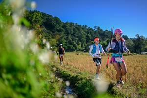 BIB: 
                            <button type="button" onclick="openModal(26572593)" class="btn btn-primary btn-sm float-right btn-popup" data-toggle="modal" data-target=".modal-high-quality">
                        <i class="fas fa-shopping-cart"></i> Add to Cart
                    </button>
                                            <button type="button" onclick="isThisMe(26572593, true)" class="btn btn-success btn-sm float-right btn-popup btn-isme hidden" data-toggle="tooltip" data-placement="bottom" title="นี่คือรูปของคุณใช่ไหม คลิกที่นี่เพื่อเอาเข้าอัลบั้ม">
                        <i class="fas fa-plus"></i> Add to album
                    </button>
                    <button type="button" onclick="isThisMe(26572593, false)" class="btn btn-warning btn-sm float-right btn-popup btn-isnotme hidden">
                        <i class="fas fa-ban"></i> Remove from album
                    </button>