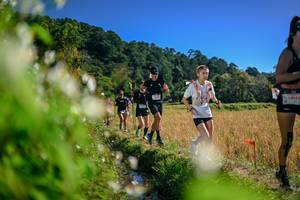 BIB: 
                            <button type="button" onclick="openModal(26575093)" class="btn btn-primary btn-sm float-right btn-popup" data-toggle="modal" data-target=".modal-high-quality">
                        <i class="fas fa-shopping-cart"></i> Add to Cart
                    </button>
                                            <button type="button" onclick="isThisMe(26575093, true)" class="btn btn-success btn-sm float-right btn-popup btn-isme hidden" data-toggle="tooltip" data-placement="bottom" title="นี่คือรูปของคุณใช่ไหม คลิกที่นี่เพื่อเอาเข้าอัลบั้ม">
                        <i class="fas fa-plus"></i> Add to album
                    </button>
                    <button type="button" onclick="isThisMe(26575093, false)" class="btn btn-warning btn-sm float-right btn-popup btn-isnotme hidden">
                        <i class="fas fa-ban"></i> Remove from album
                    </button>