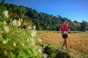 BIB: 
                            <button type="button" onclick="openModal(26571195)" class="btn btn-primary btn-sm float-right btn-popup" data-toggle="modal" data-target=".modal-high-quality">
                        <i class="fas fa-shopping-cart"></i> Add to Cart
                    </button>
                                            <button type="button" onclick="isThisMe(26571195, true)" class="btn btn-success btn-sm float-right btn-popup btn-isme hidden" data-toggle="tooltip" data-placement="bottom" title="นี่คือรูปของคุณใช่ไหม คลิกที่นี่เพื่อเอาเข้าอัลบั้ม">
                        <i class="fas fa-plus"></i> Add to album
                    </button>
                    <button type="button" onclick="isThisMe(26571195, false)" class="btn btn-warning btn-sm float-right btn-popup btn-isnotme hidden">
                        <i class="fas fa-ban"></i> Remove from album
                    </button>