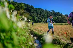 BIB: 
                            <button type="button" onclick="openModal(26573373)" class="btn btn-primary btn-sm float-right btn-popup" data-toggle="modal" data-target=".modal-high-quality">
                        <i class="fas fa-shopping-cart"></i> Add to Cart
                    </button>
                                            <button type="button" onclick="isThisMe(26573373, true)" class="btn btn-success btn-sm float-right btn-popup btn-isme hidden" data-toggle="tooltip" data-placement="bottom" title="นี่คือรูปของคุณใช่ไหม คลิกที่นี่เพื่อเอาเข้าอัลบั้ม">
                        <i class="fas fa-plus"></i> Add to album
                    </button>
                    <button type="button" onclick="isThisMe(26573373, false)" class="btn btn-warning btn-sm float-right btn-popup btn-isnotme hidden">
                        <i class="fas fa-ban"></i> Remove from album
                    </button>