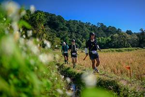 BIB: 
                            <button type="button" onclick="openModal(26574251)" class="btn btn-primary btn-sm float-right btn-popup" data-toggle="modal" data-target=".modal-high-quality">
                        <i class="fas fa-shopping-cart"></i> Add to Cart
                    </button>
                                            <button type="button" onclick="isThisMe(26574251, true)" class="btn btn-success btn-sm float-right btn-popup btn-isme hidden" data-toggle="tooltip" data-placement="bottom" title="นี่คือรูปของคุณใช่ไหม คลิกที่นี่เพื่อเอาเข้าอัลบั้ม">
                        <i class="fas fa-plus"></i> Add to album
                    </button>
                    <button type="button" onclick="isThisMe(26574251, false)" class="btn btn-warning btn-sm float-right btn-popup btn-isnotme hidden">
                        <i class="fas fa-ban"></i> Remove from album
                    </button>