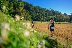 BIB: 
                            <button type="button" onclick="openModal(26570729)" class="btn btn-primary btn-sm float-right btn-popup" data-toggle="modal" data-target=".modal-high-quality">
                        <i class="fas fa-shopping-cart"></i> Add to Cart
                    </button>
                                            <button type="button" onclick="isThisMe(26570729, true)" class="btn btn-success btn-sm float-right btn-popup btn-isme hidden" data-toggle="tooltip" data-placement="bottom" title="นี่คือรูปของคุณใช่ไหม คลิกที่นี่เพื่อเอาเข้าอัลบั้ม">
                        <i class="fas fa-plus"></i> Add to album
                    </button>
                    <button type="button" onclick="isThisMe(26570729, false)" class="btn btn-warning btn-sm float-right btn-popup btn-isnotme hidden">
                        <i class="fas fa-ban"></i> Remove from album
                    </button>